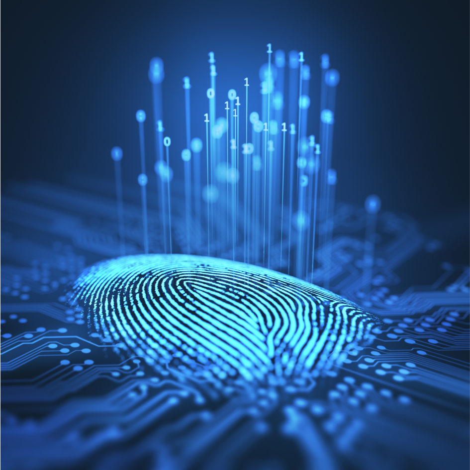 Our advanced device fingerprinting and network analysis algorithms work together to combat fraud rings with up to 99% accuracy.